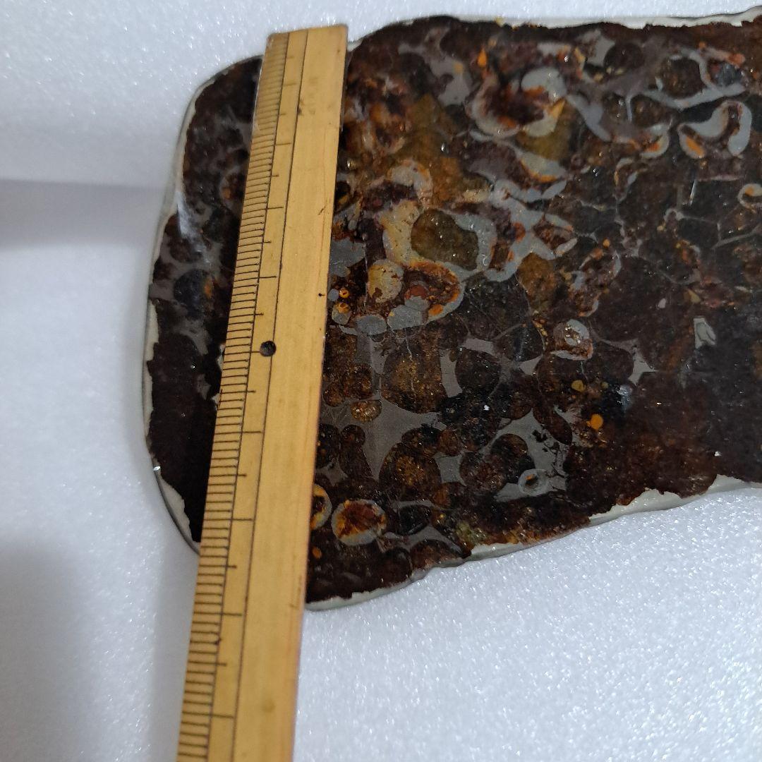 ケニア産　セリコで発見 パラサイト隕石　石鉄隕石