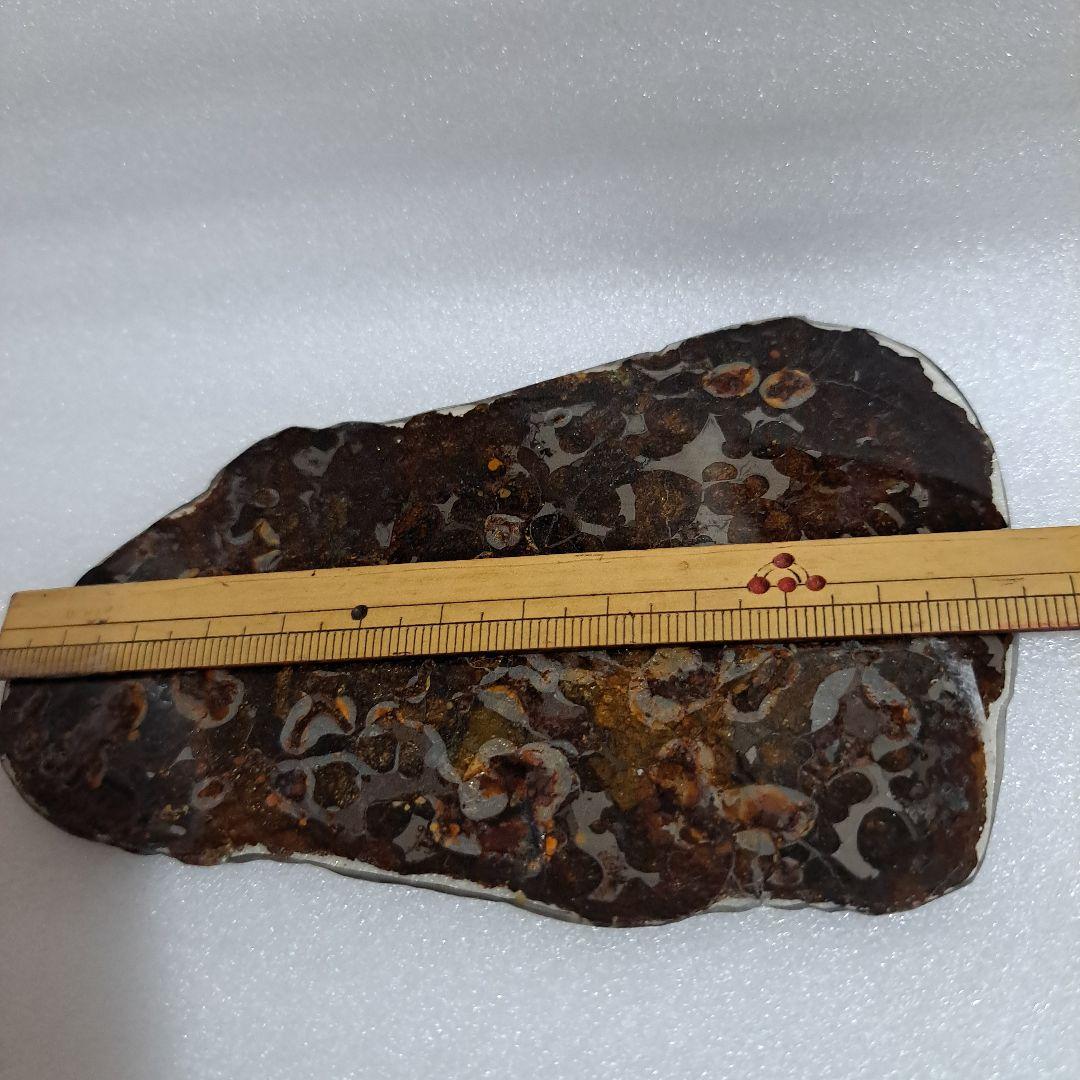 ケニア産　セリコで発見 パラサイト隕石　石鉄隕石