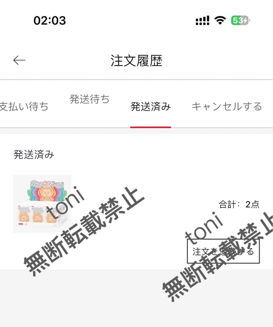 Labubu Big into Energy アソートボックス 正規品