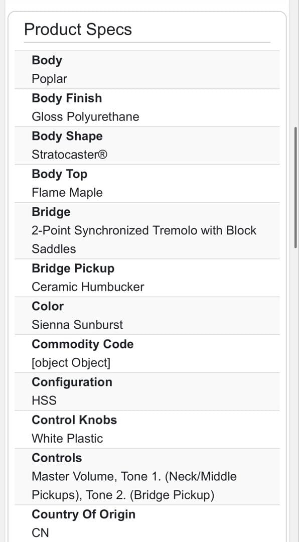 Stratocast Fender エレキギター CYKH24007043
