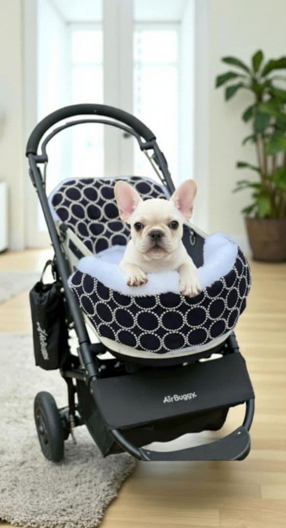 ❤３点セット❤ペットカートコンフォーター＆ライナー＆ピロー　インディゴ✕ホワイト