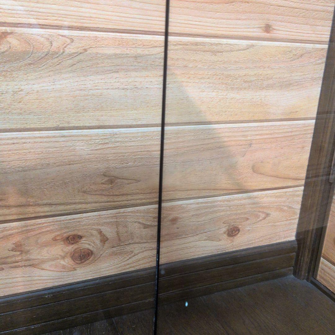 テレサ♡。GEX EXOTERRA グラステラリウム3045