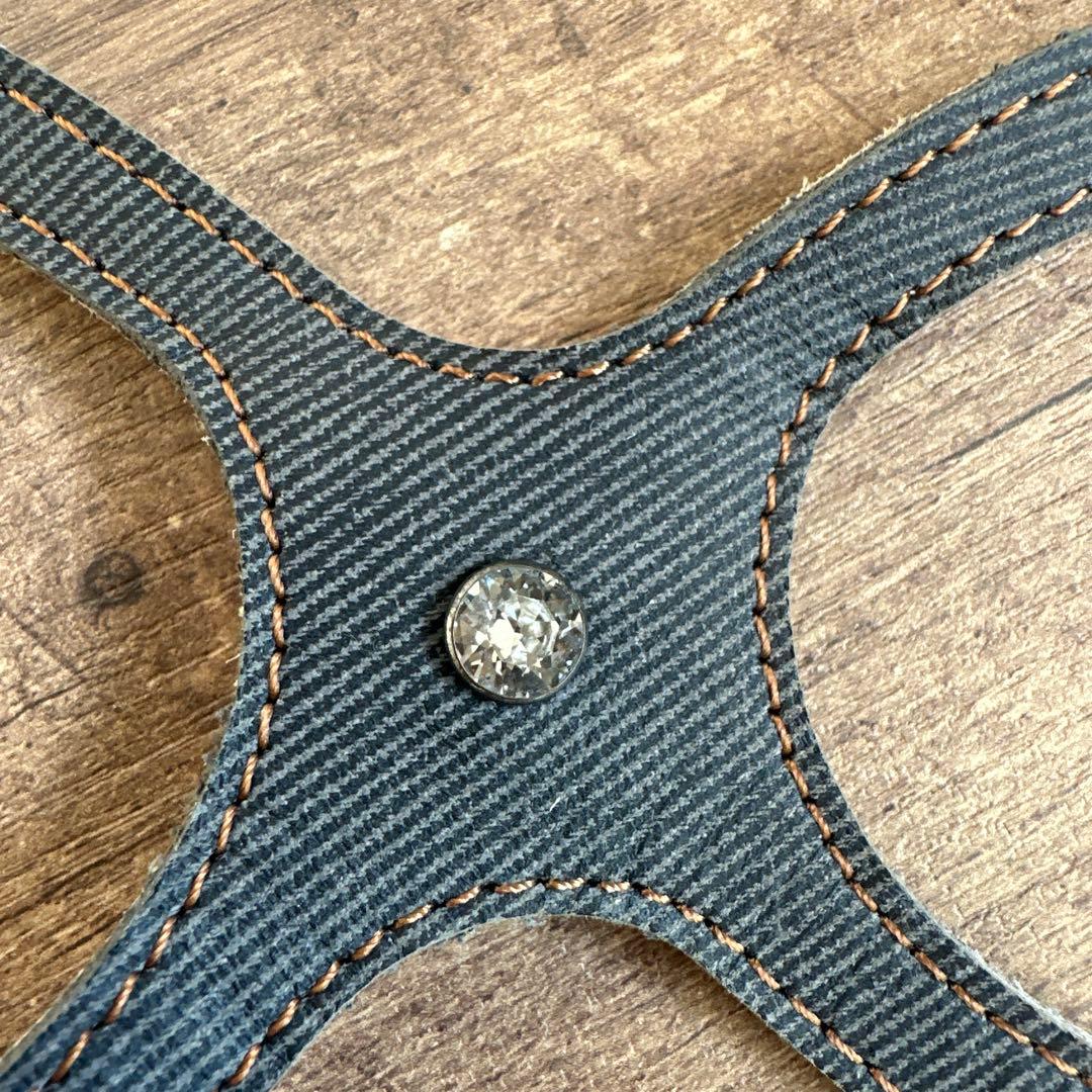 バディベルト　BB ブルージーン5号　ハーネス フルクリスタル　アクセントリード