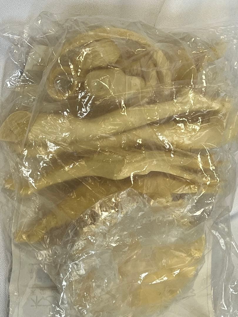 カードキャプターさくら 1/6 木之本桜 天使ver. ガレージキット 宮川武