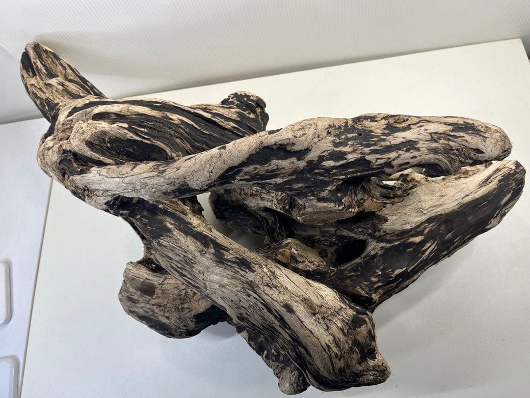 m46特大流木 大型流木 アク抜き済み 爬虫類シェルター レイアウト用 隠れ家