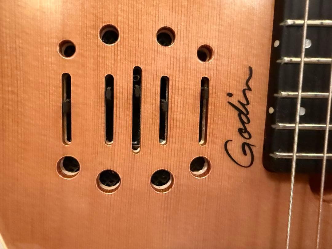 モツ様 Godin Multiac Nylon Encore Natural