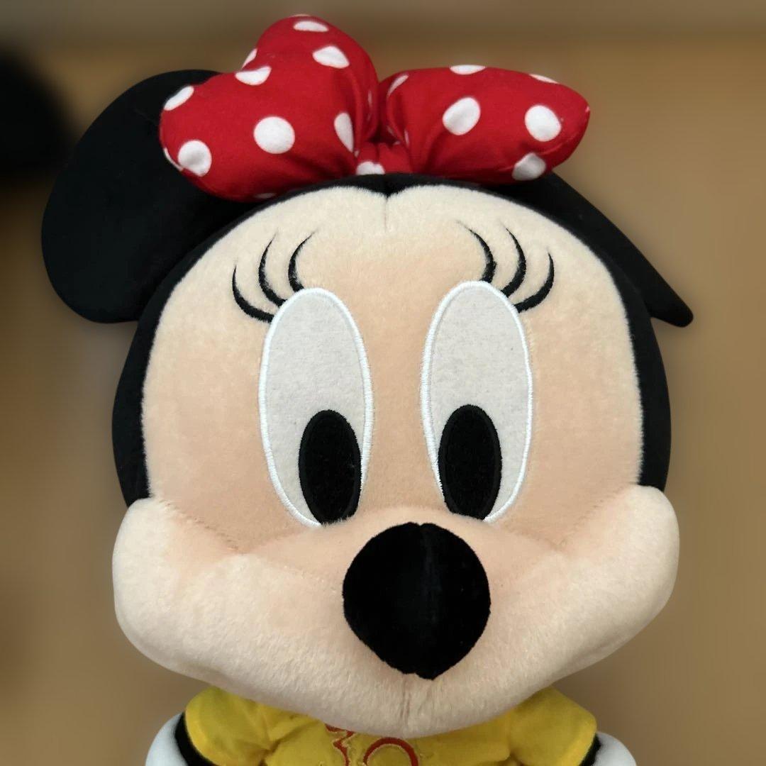 限定ミッキー・ミニー ぬいぐるみセット 30周年