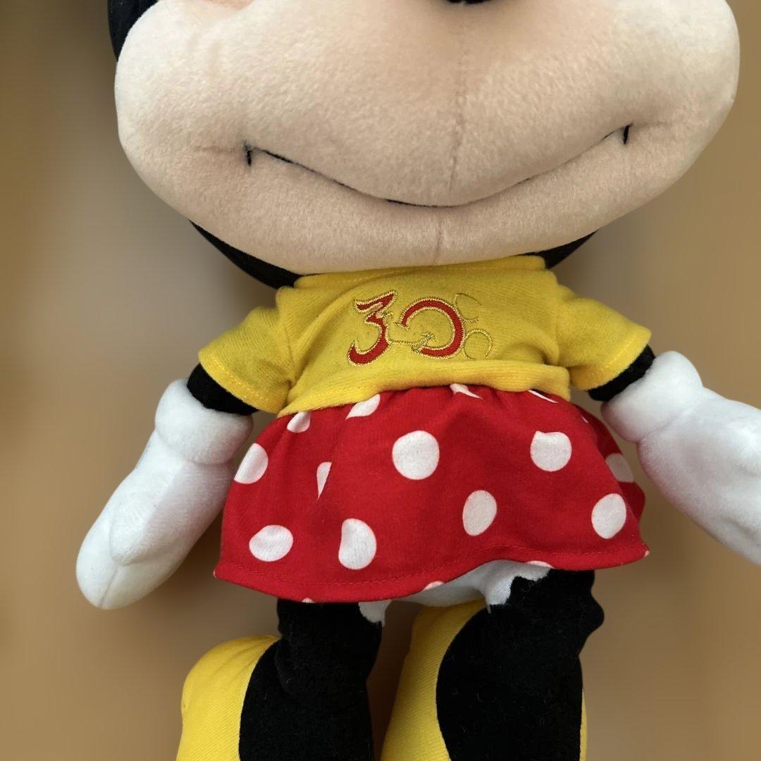 限定ミッキー・ミニー ぬいぐるみセット 30周年