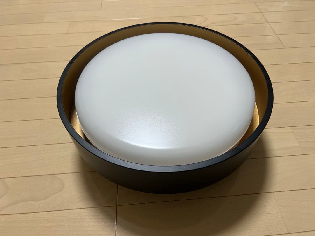 LOWYA Seablanc ブラック シーリングライト