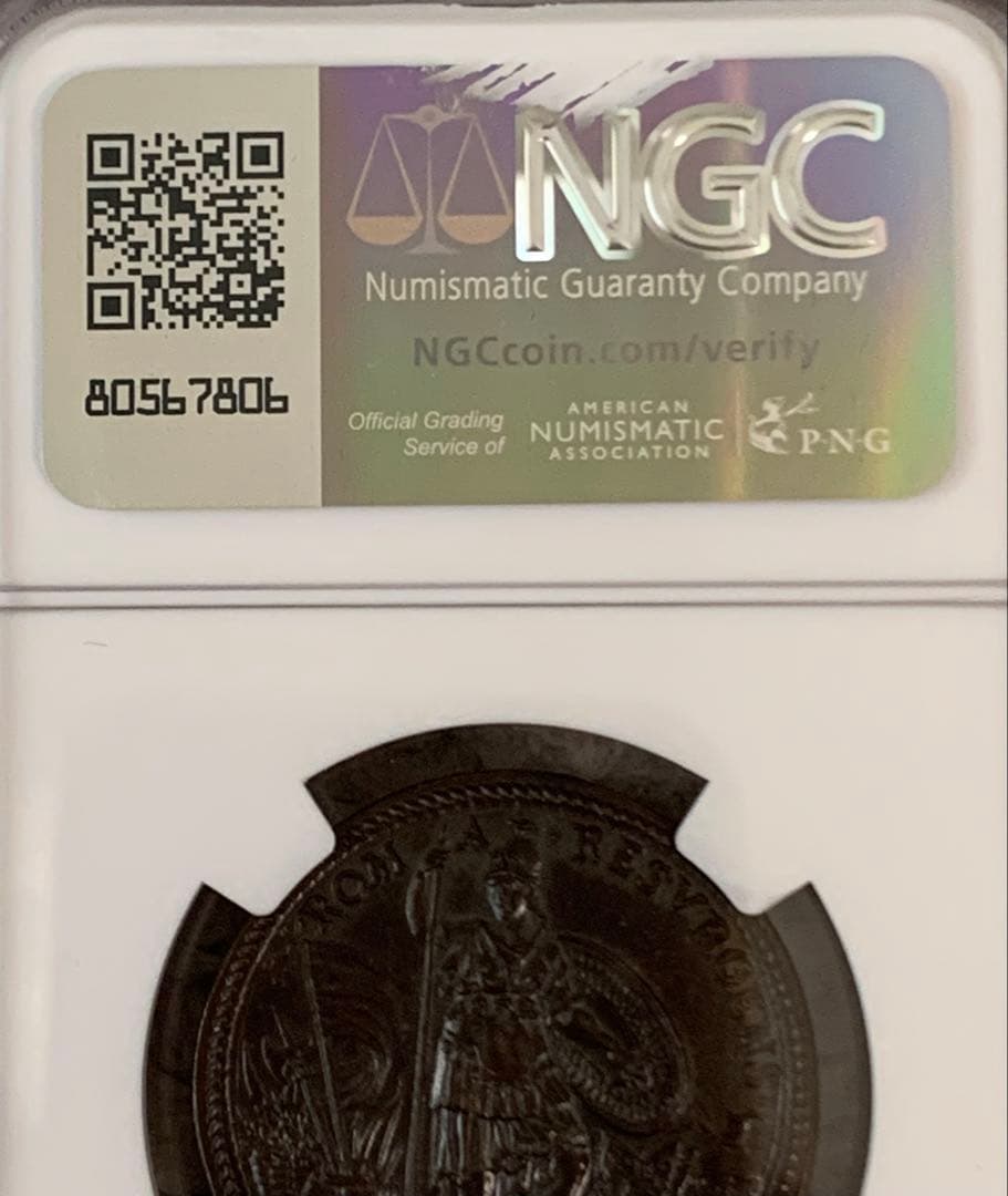 NGC TOP POP教皇ピウス3世 ブロンズメダル
