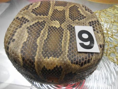 (送料無料)12.980円　沖縄三線専用　蛇皮強化チーガ、自作へ挑戦三点から選択