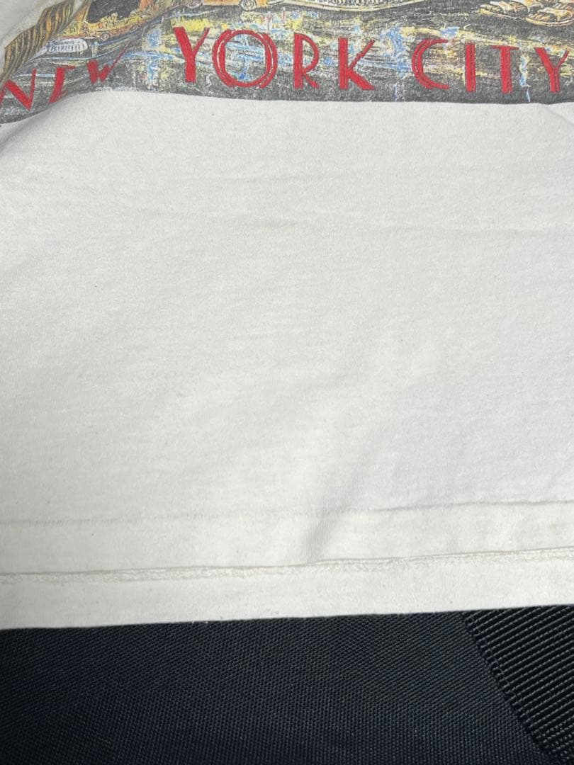 タ*ス様 90s Grateful Dead New York City バンド