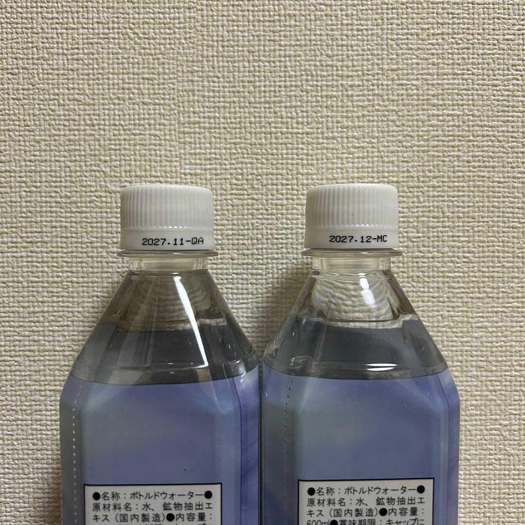 エコウォーター ライフエッセンス 600ml 2本【2027年11・12月】