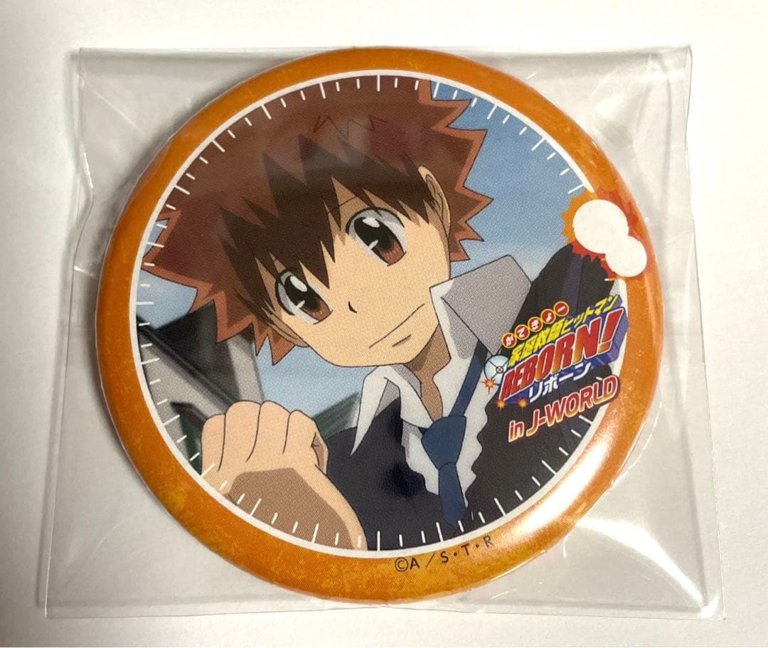 家庭教師ヒットマンREBORN J-WORLD 缶バッジ 沢田綱吉