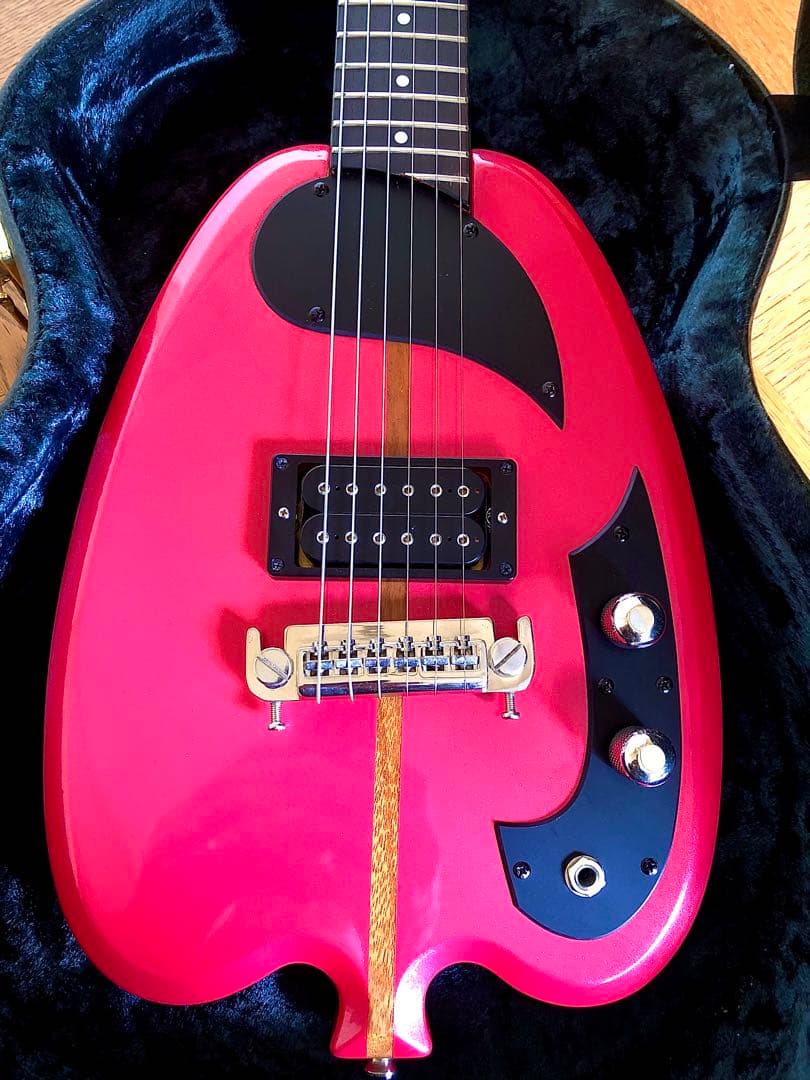 超希少！珍品HSアンダーソン-ヒューストン