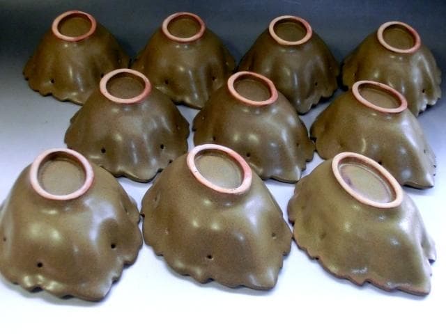 皿■橘窯 橘吉 10客 鉢 向付 向皿 葉皿 菓子器 古美術 時代物 骨董品■