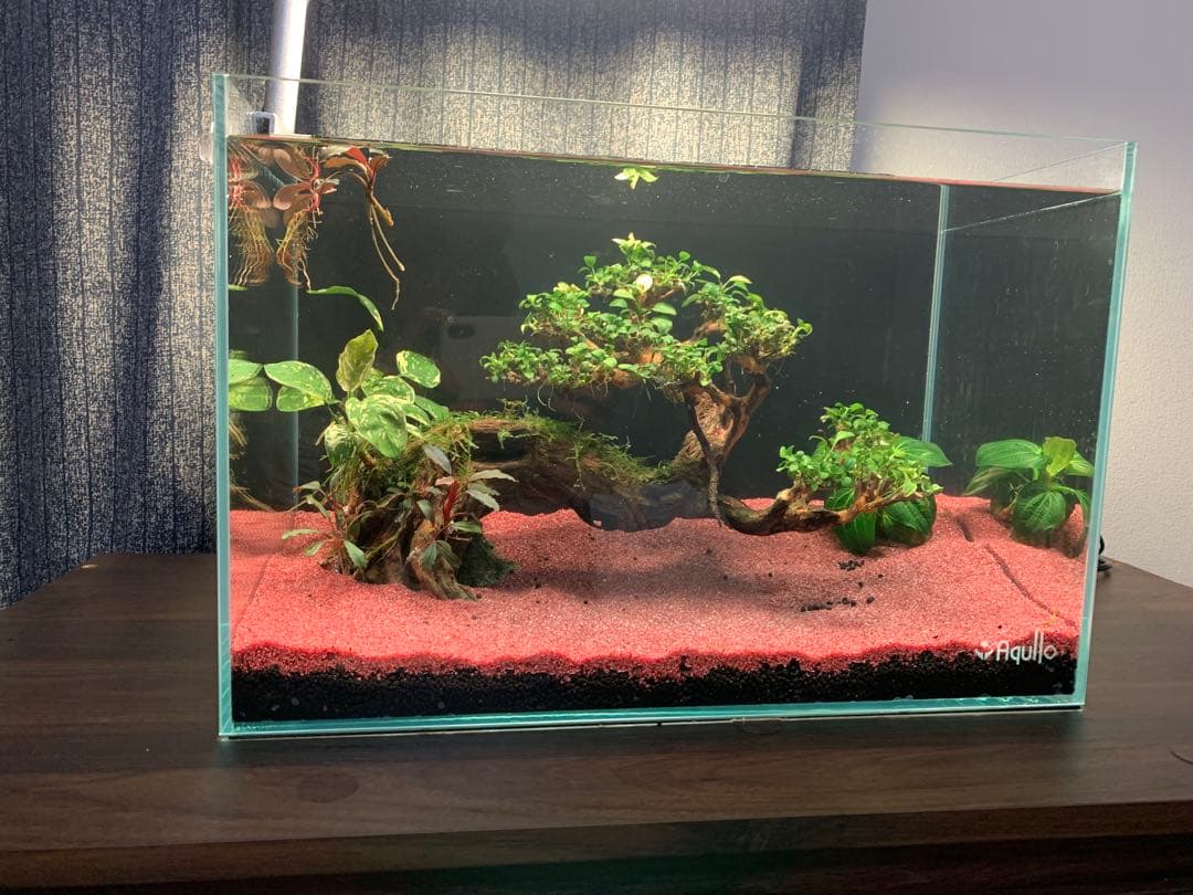 アクアリウム用 流木ボンサイ レイアウト素材