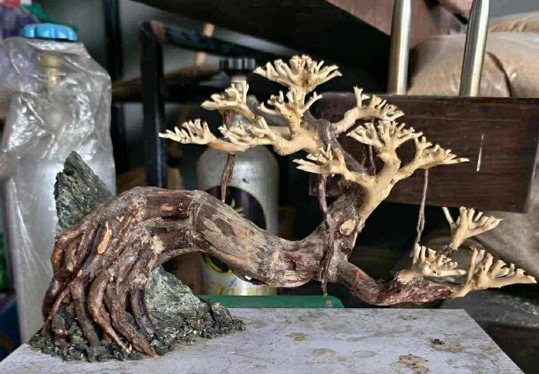 アクアリウム用 流木ボンサイ レイアウト素材