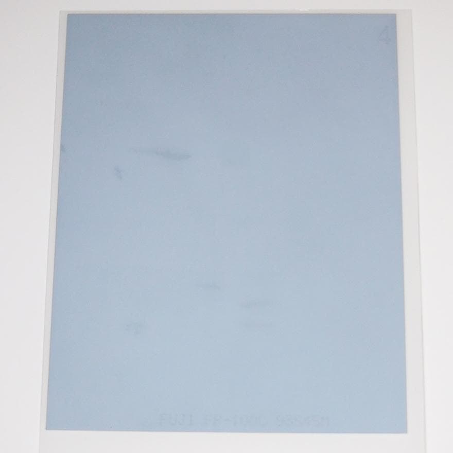 長澤まさみ 直筆サイン入りポラ チェキ