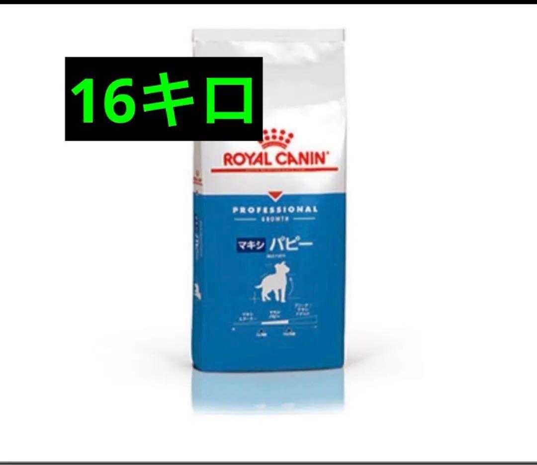  CANIN 大型犬　子犬用　マキシパピー16キロ　ロイヤルカナン