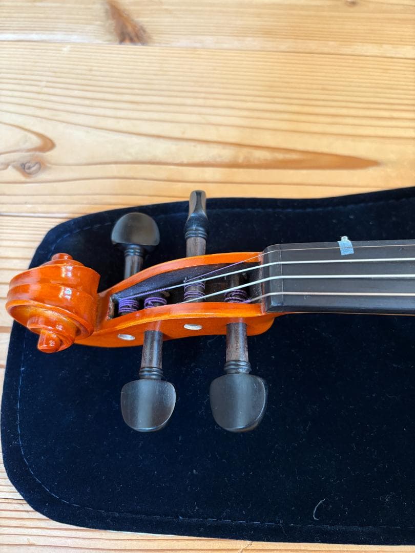 ヴァイオリン Eastman Strings VL80 4/4 2021年