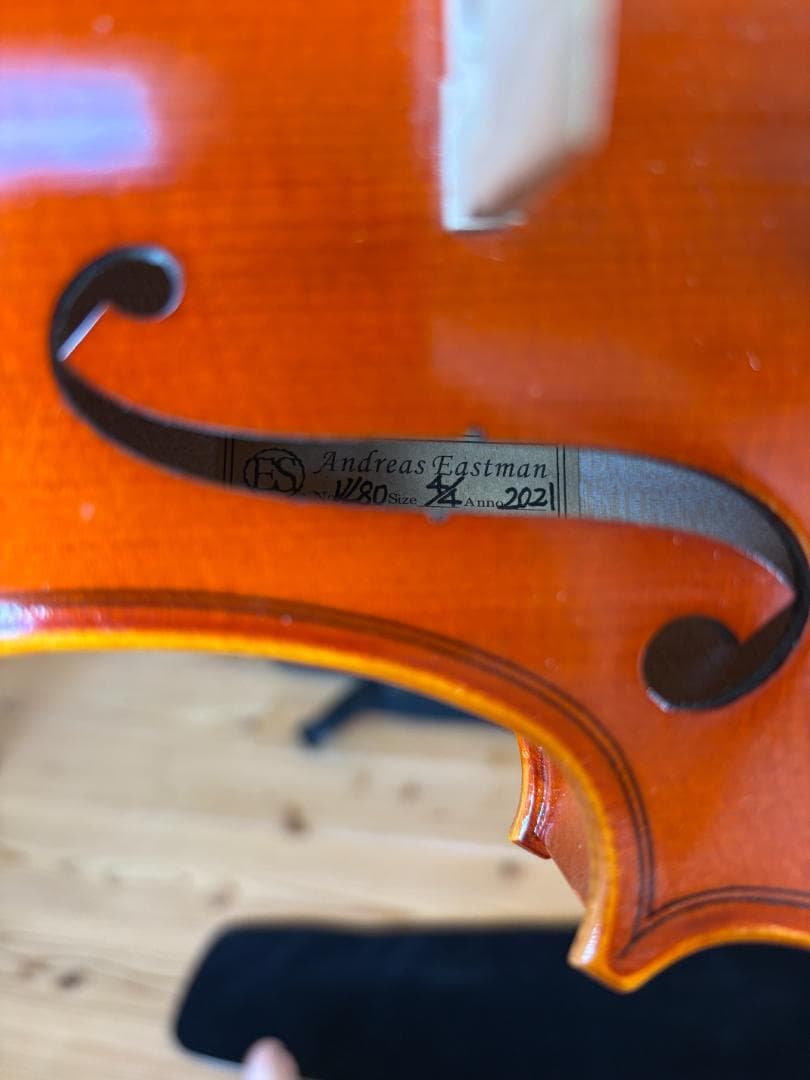 ヴァイオリン Eastman Strings VL80 4/4 2021年