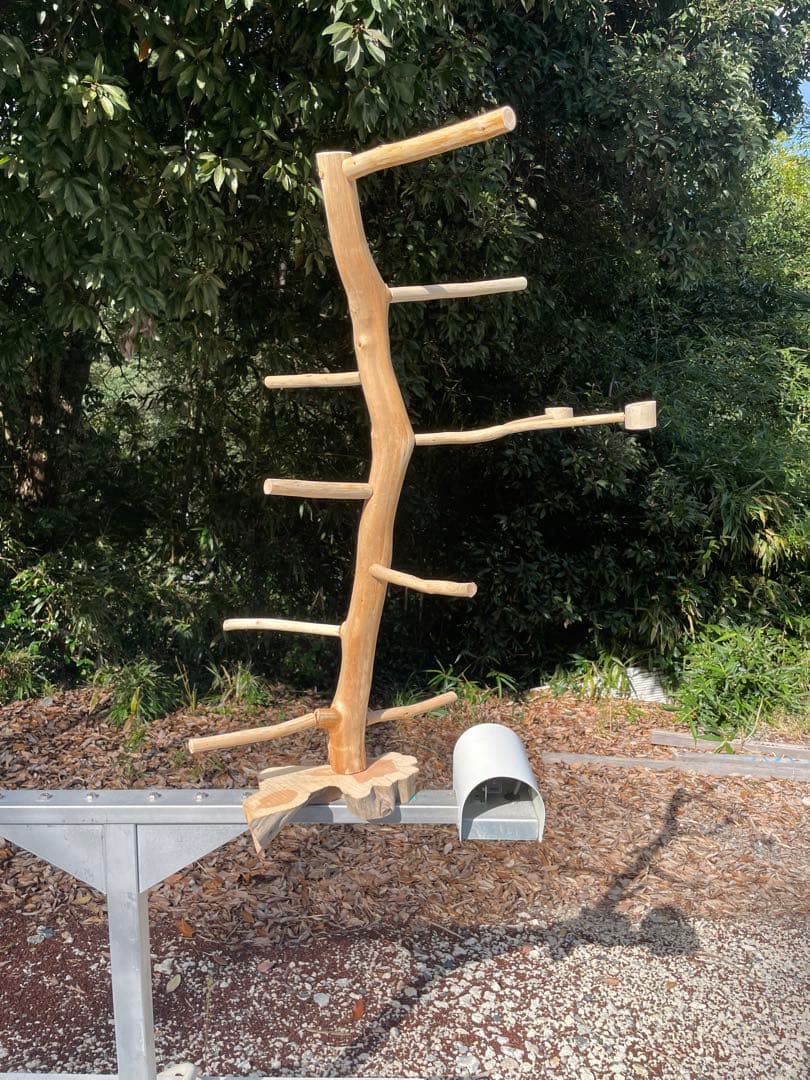 国産ヒノキ　鳥用止まり木　中型インコ用　スタンド　約100センチ