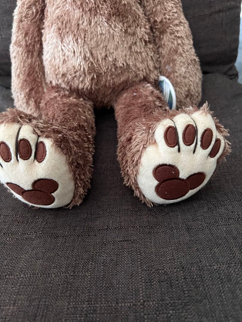 ディズニーワールド　レアダッフィー