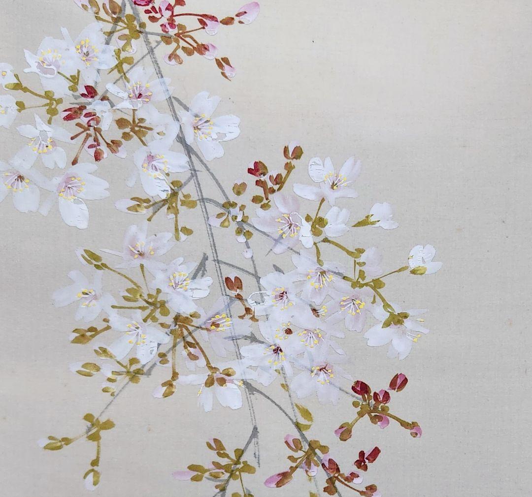 【朧月夜桜図】今井景樹 2702 おぼろ月 さくら 共箱 肉筆 掛け軸