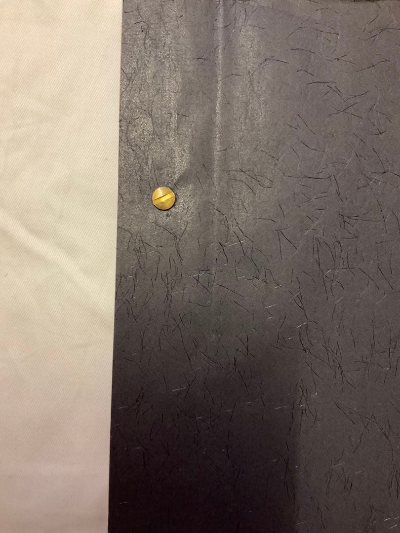 レア！distinction men's bigi ALASTAIR THAIN