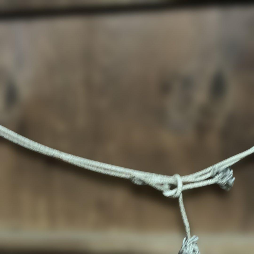 きつねさん専用　鈴木啓二　油絵　カボチャの油絵　P=10号　（2点セット）