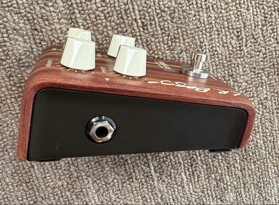 ギター L.R. Baggs ALIGN SERIES REVERB