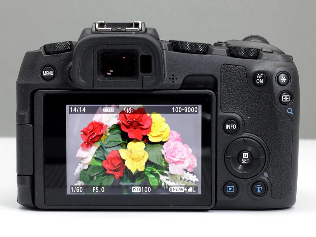 EOS RP＋Viltrox EF-Rアダプタ＋EF28-105mmⅡ∔ストロボ