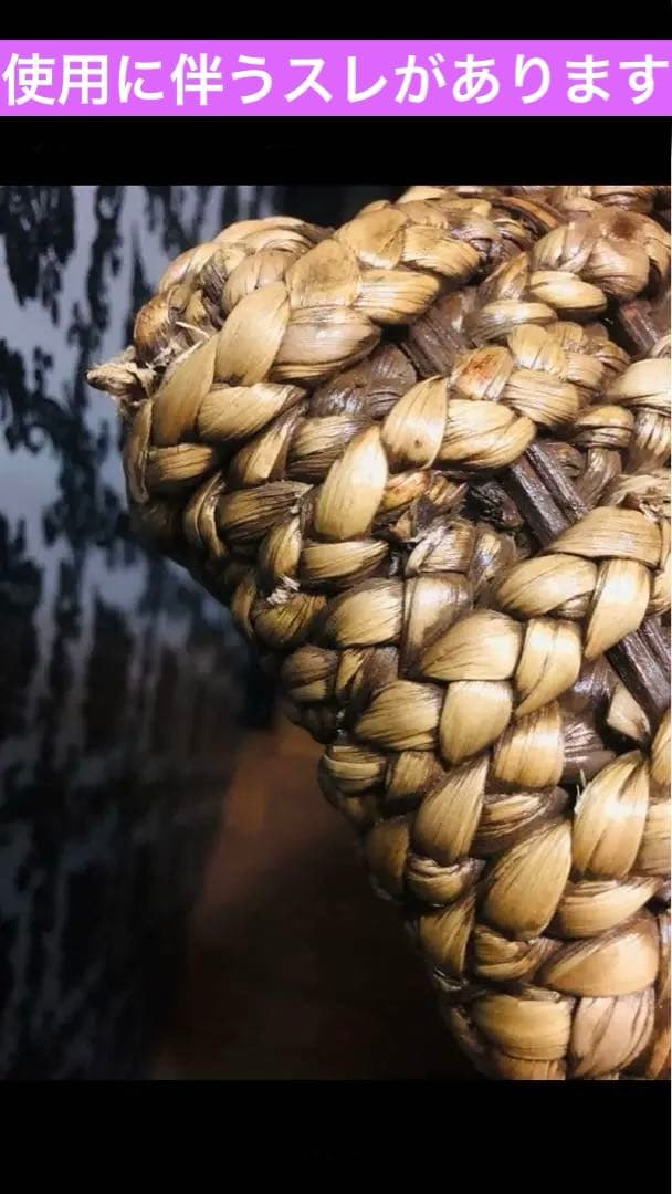 希少♦️ウォーターヒヤシンス♦️高級サンベット♦️シェーズロング 2脚セット♦️着払い