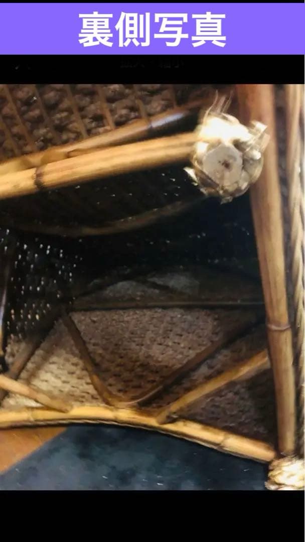 希少♦️ウォーターヒヤシンス♦️高級サンベット♦️シェーズロング 2脚セット♦️着払い