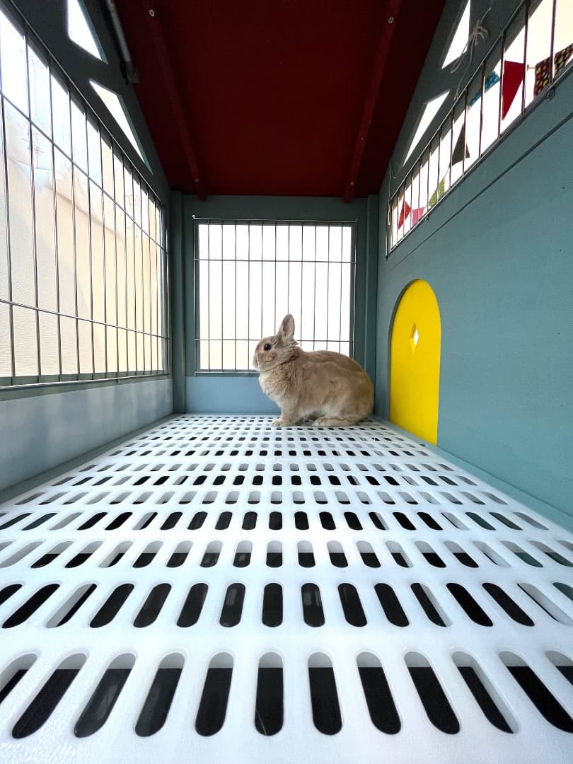 【もちつき】弐番館　北欧デザインペットハウス　うさぎ用ケージ
