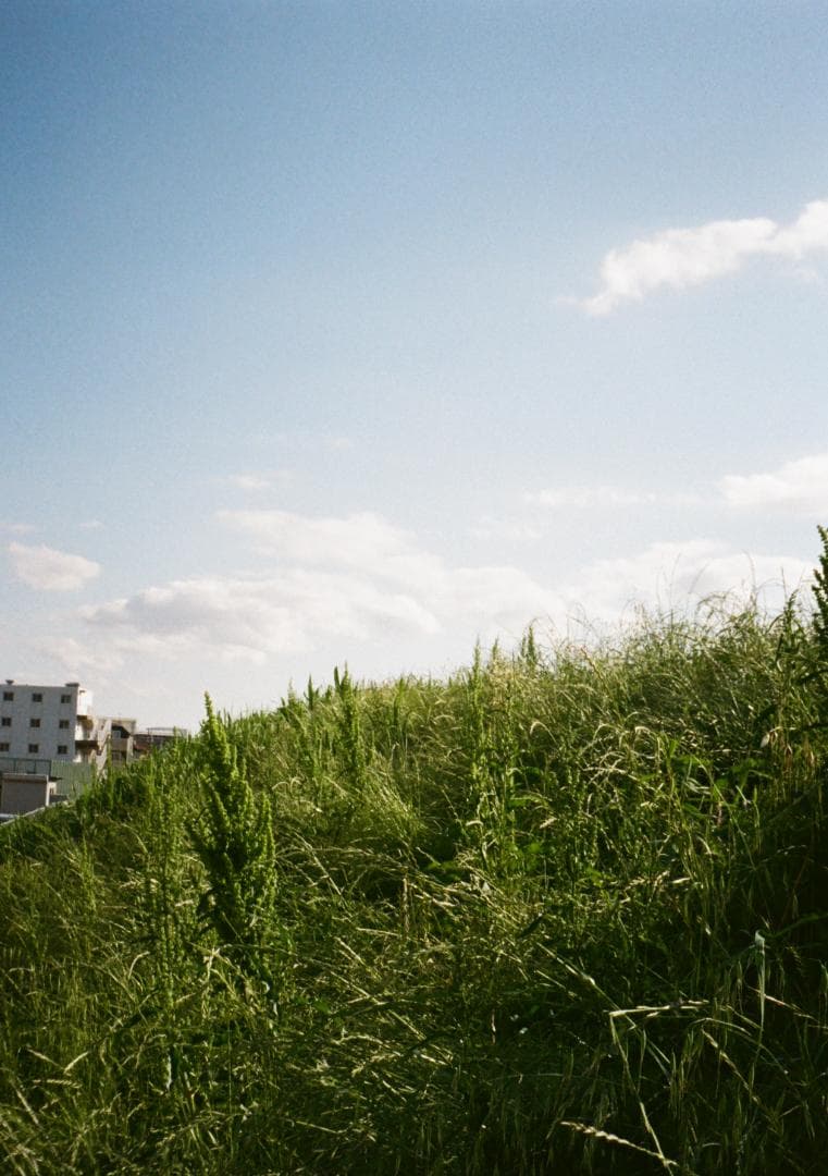 RICOH auto half E【整備済完動品】