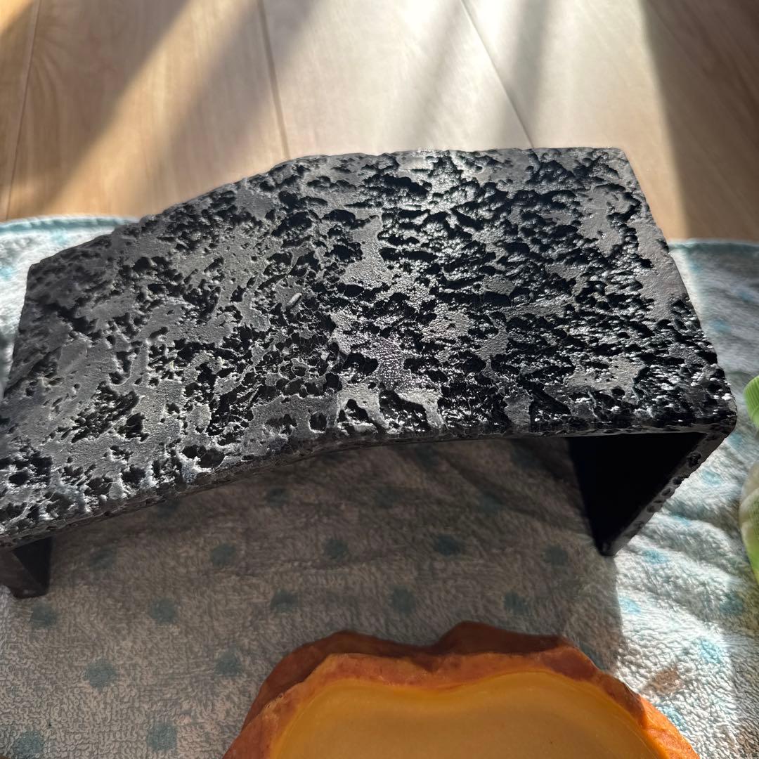 爬虫類　餌皿　水皿　シェルターセット