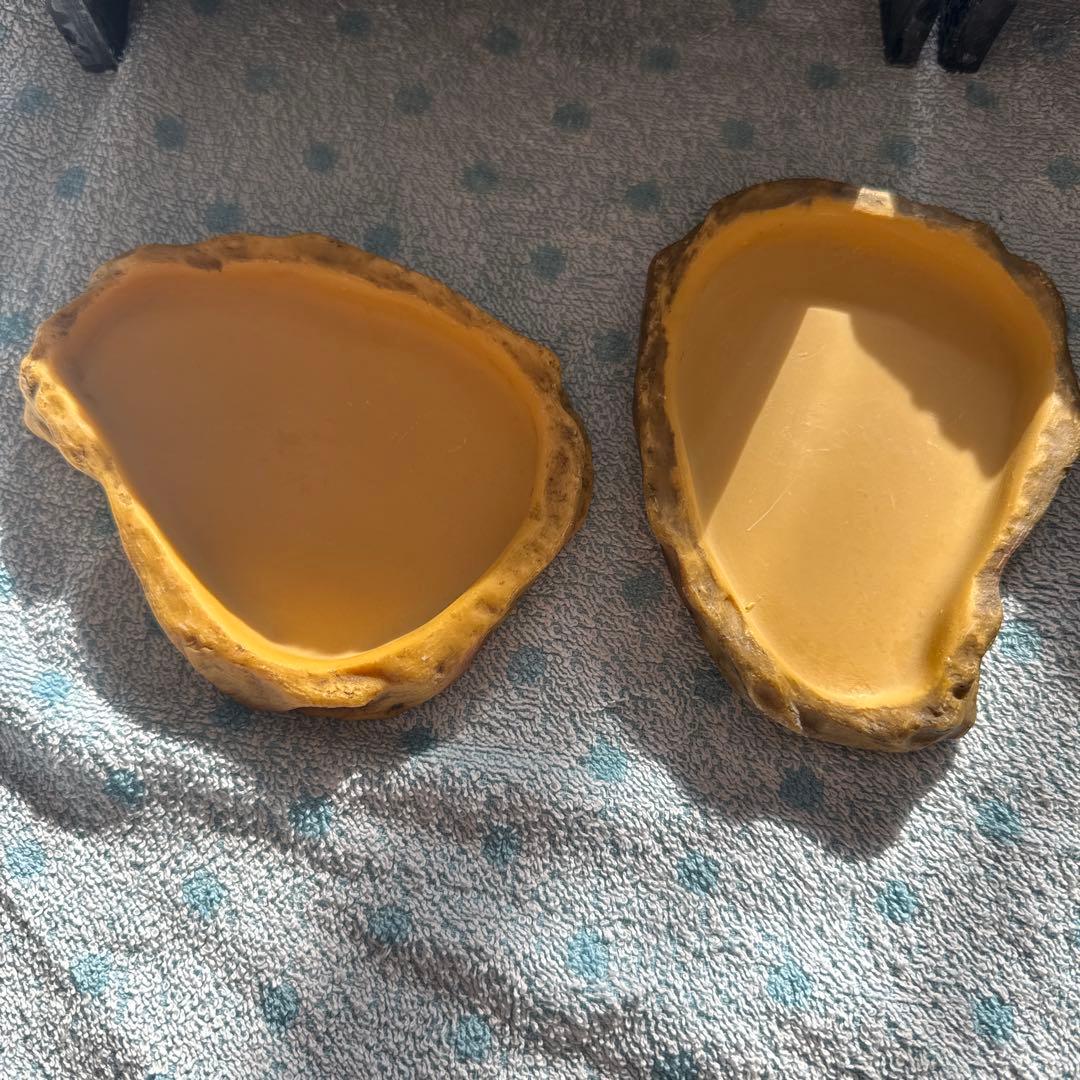 爬虫類　餌皿　水皿　シェルターセット