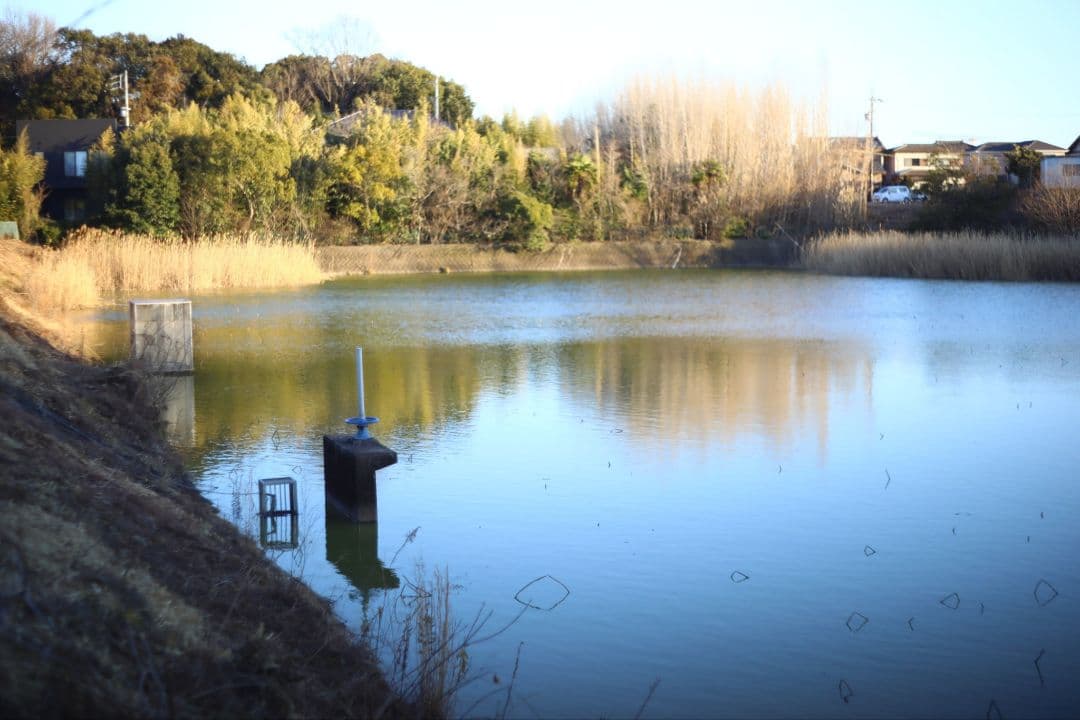 作例あり☆整備済 Super-Takumar 50㎜ f1.4 スーパータクマー