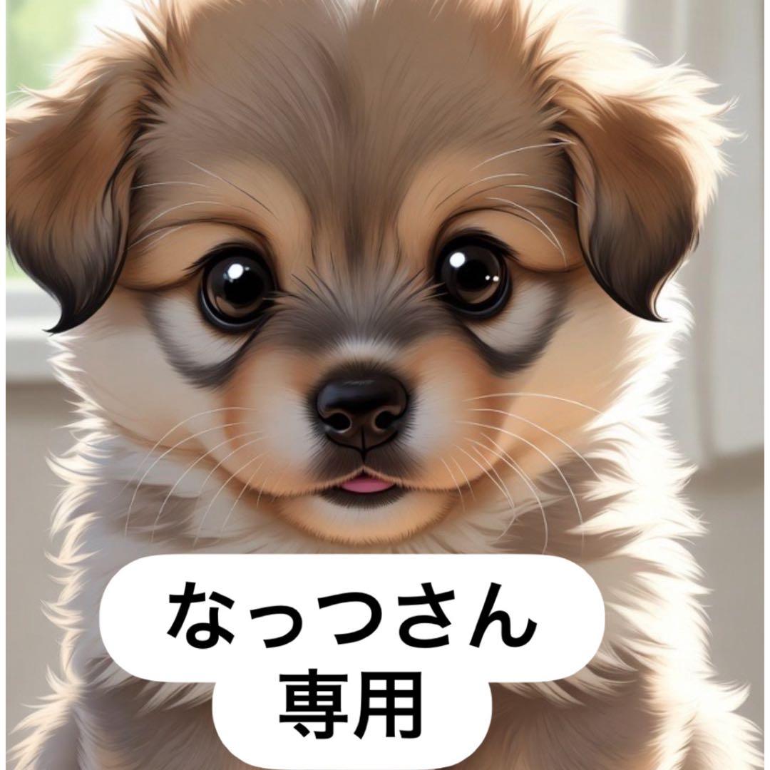 なっつさん専用