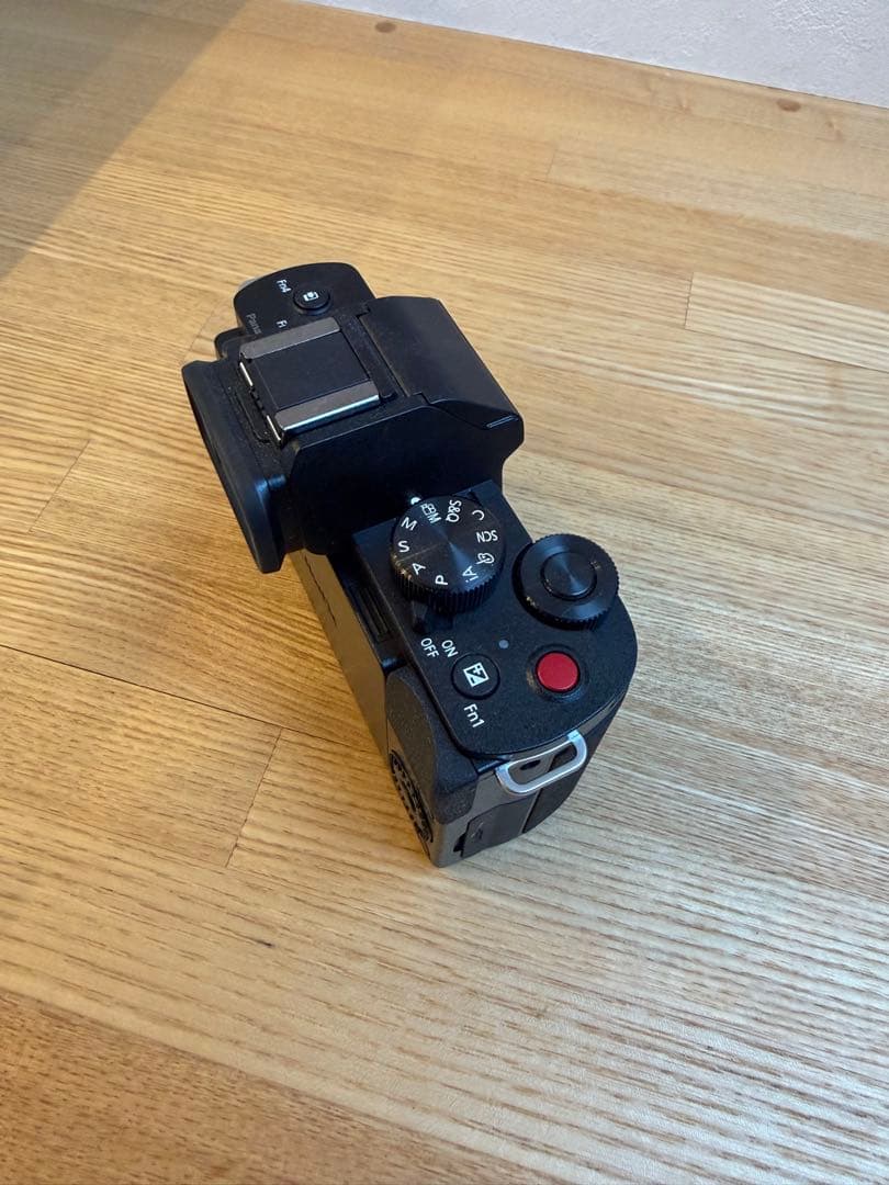 Panasonic Lumix DC-G100V ミラーレスカメラ