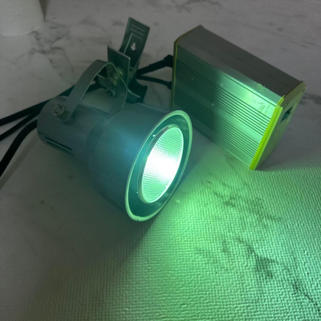 ソラーレ 爬虫類 メタハラ