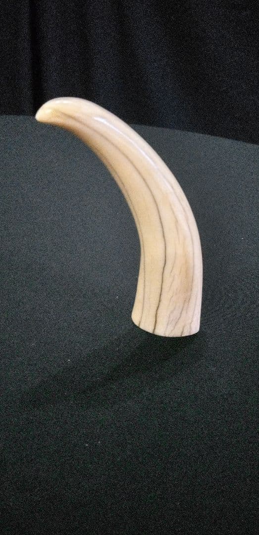 マッコウ鯨の牙、装飾用材料、根付け材、