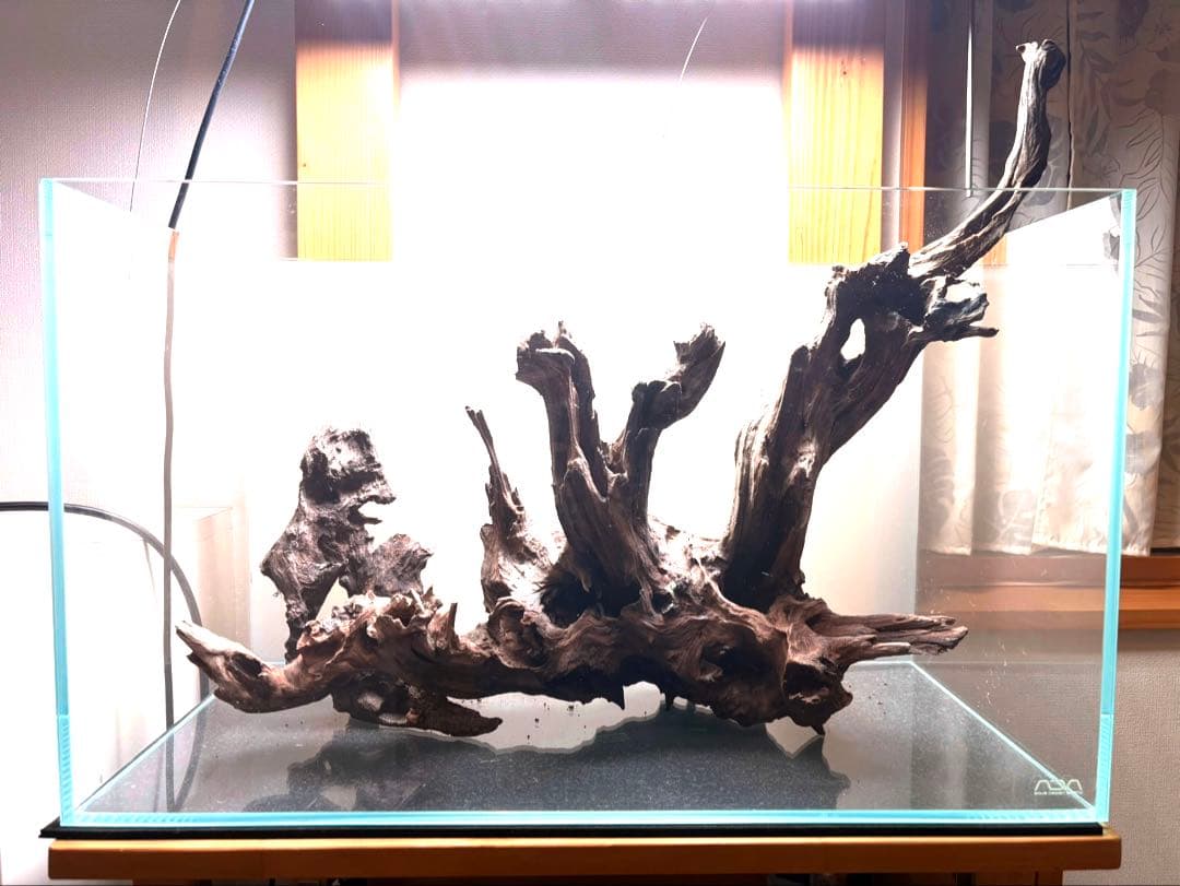 ADA ホーンウッド流木と小型流木