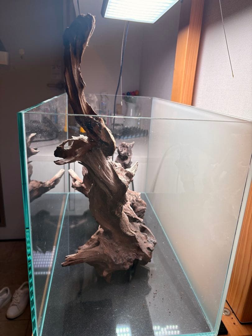 ADA ホーンウッド流木と小型流木