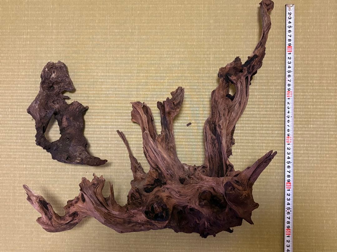 ADA ホーンウッド流木と小型流木