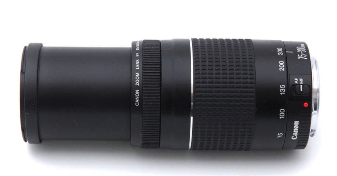 デジタル一眼レフカメラCanon EF75-300㎜F4-5.6 II