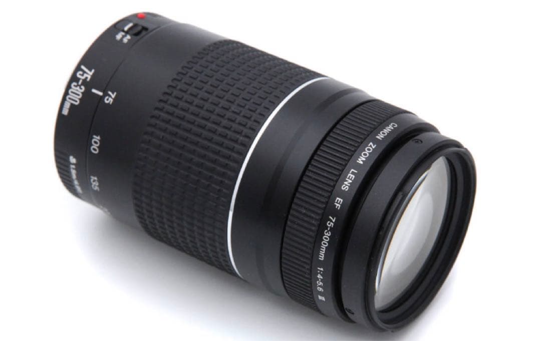 デジタル一眼レフカメラCanon EF75-300㎜F4-5.6 II