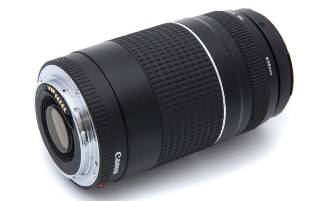 デジタル一眼レフカメラCanon EF75-300㎜F4-5.6 II